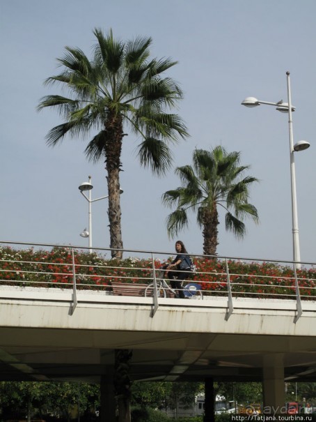 4 дня в Валенсии.