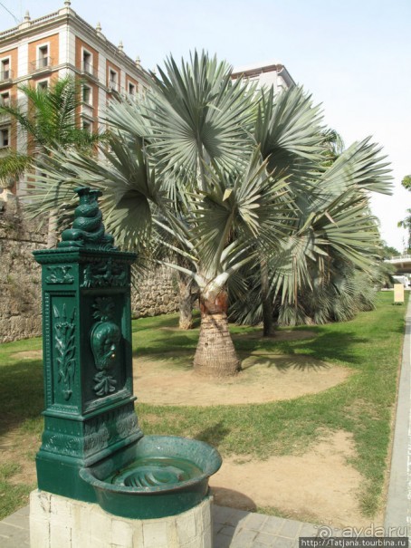 4 дня в Валенсии.