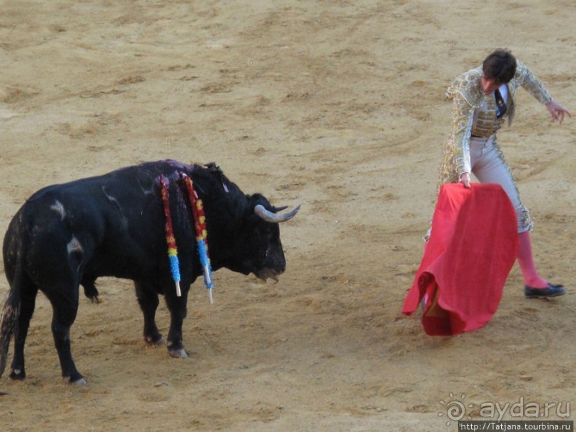 4 дня в Валенсии.