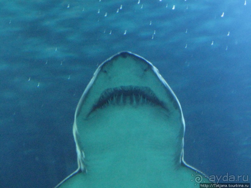 4 дня в Валенсии.