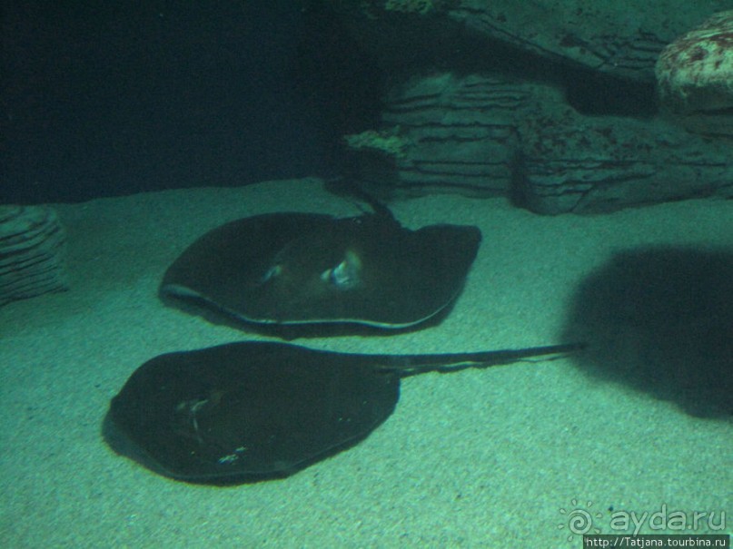 4 дня в Валенсии.