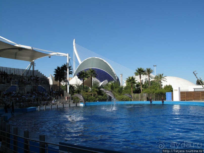 4 дня в Валенсии.