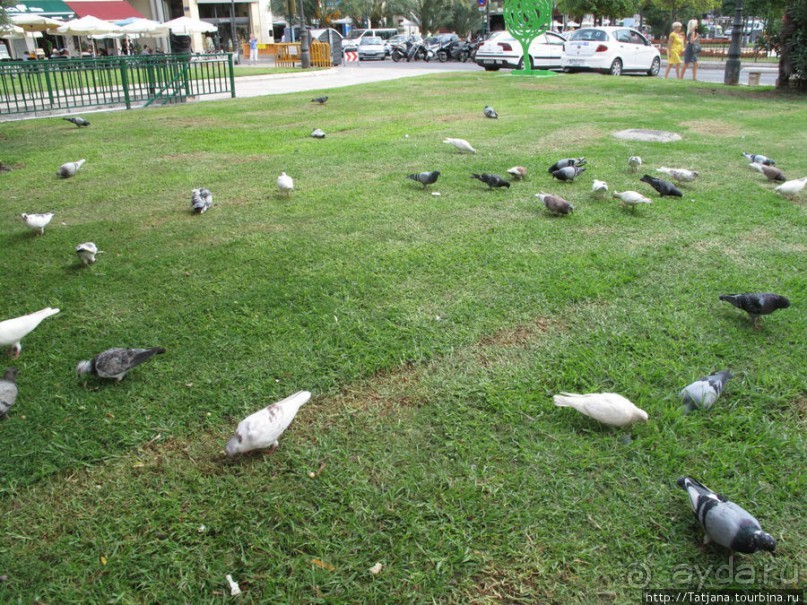 4 дня в Валенсии.