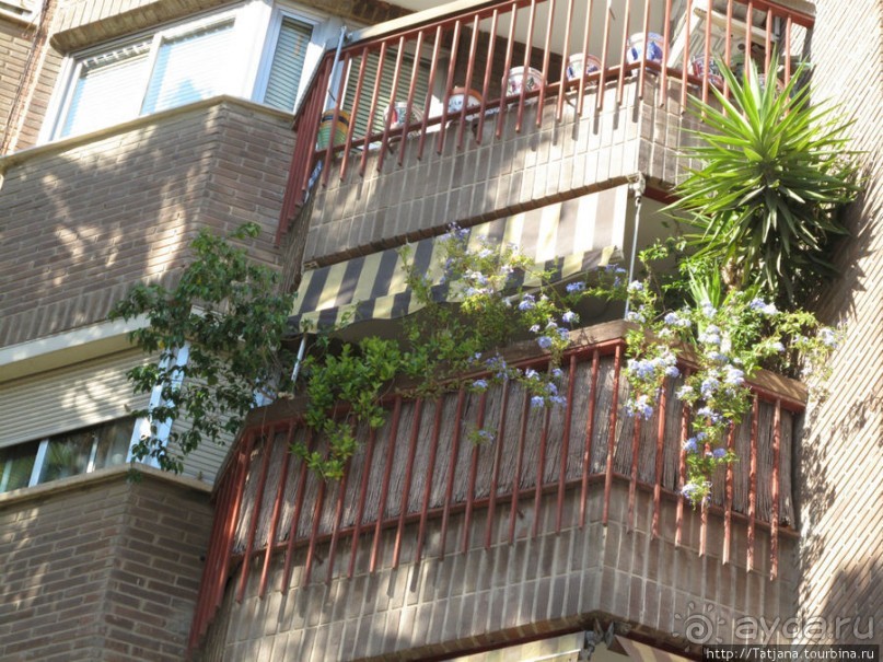 4 дня в Валенсии.