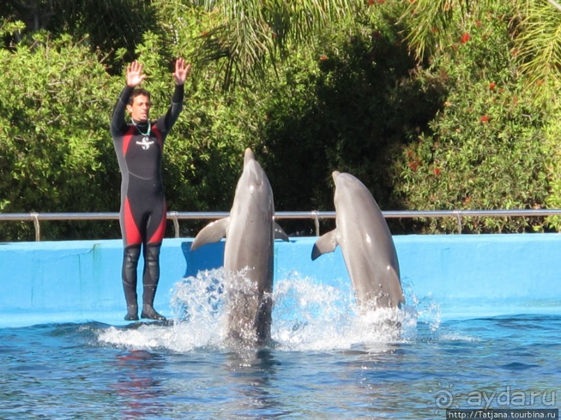 4 дня в Валенсии.