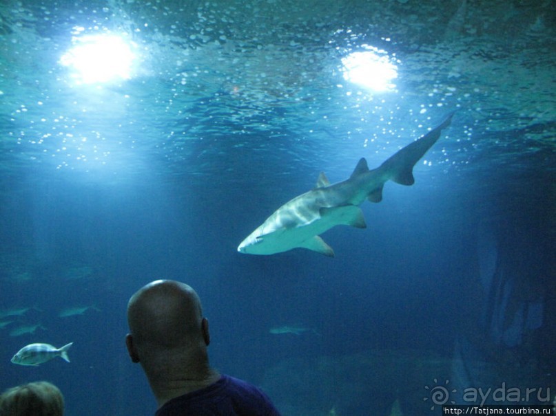 4 дня в Валенсии.