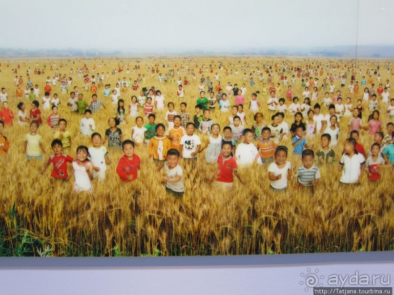 Альбом отзыва "Гронингер музей и его антураж..."