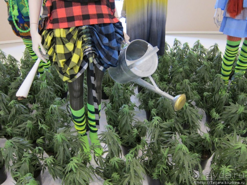 Гронингер музей и его антураж...