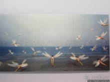 Гронингер музей и его антураж...