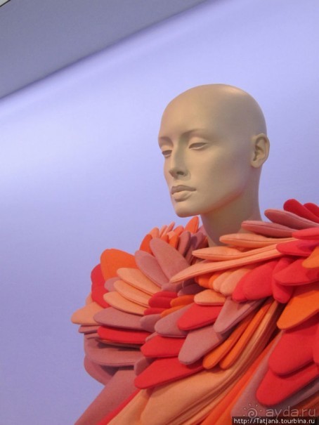 Альбом отзыва "Гронингер музей и его антураж..."