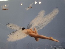 Гронингер музей и его антураж...