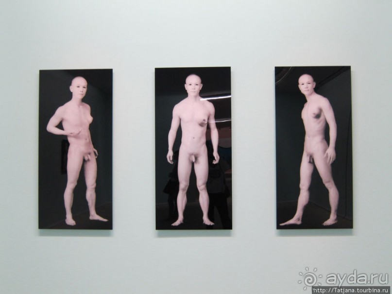 Гронингер музей и его антураж...