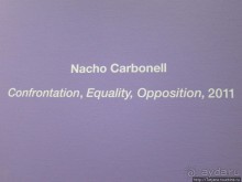 Альбом отзыва "Гронингер музей и его антураж..."