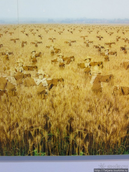 Гронингер музей и его антураж...