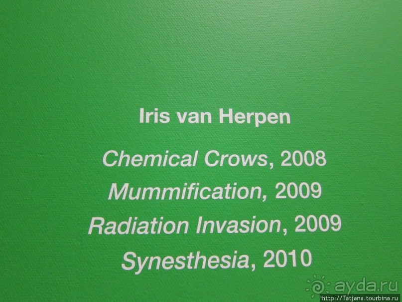 Гронингер музей и его антураж...