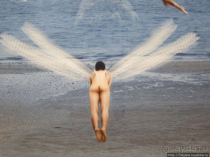 Гронингер музей и его антураж...