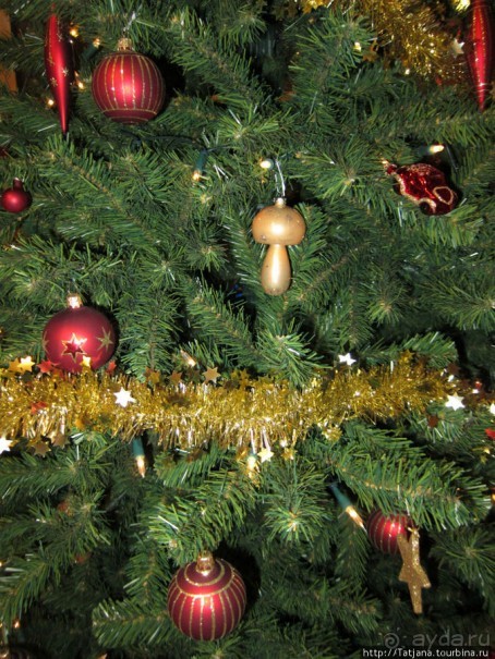 Встреча Нового Года 2012 в Голландии