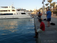 Отель Оазис в центре Порт Галиб