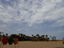 Отель Оазис в центре Порт Галиб