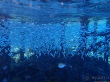 Отель Оазис в центре Порт Галиб