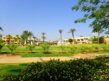 Отель Оазис в центре Порт Галиб