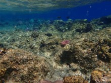 Отель Оазис в центре Порт Галиб