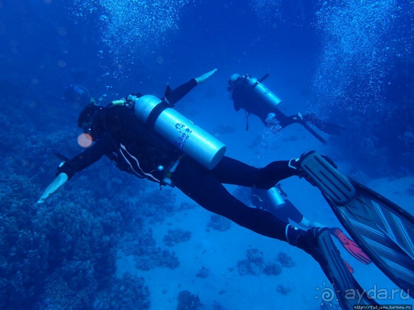 Отель Оазис в центре Порт Галиб