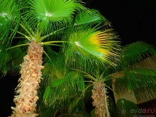 Отель Оазис в центре Порт Галиб