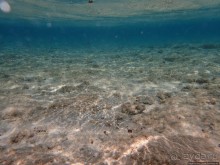 Отель Оазис в центре Порт Галиб