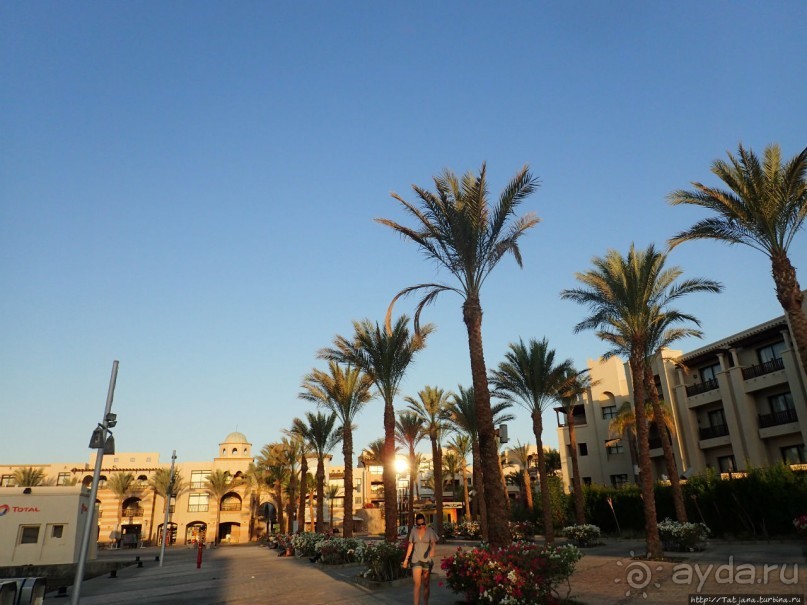 Отель Оазис в центре Порт Галиб