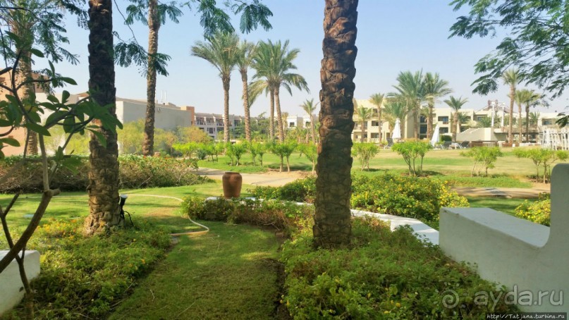 фото Марса Алама