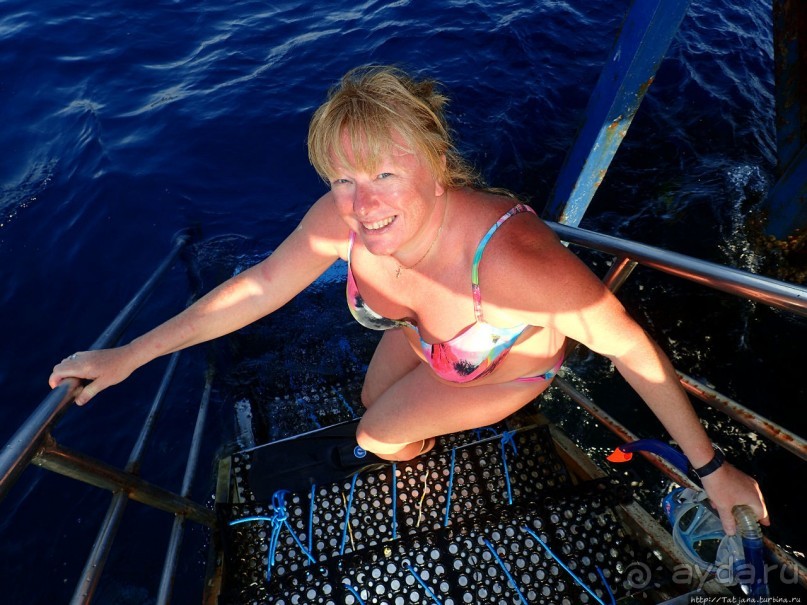 Отель Оазис в центре Порт Галиб