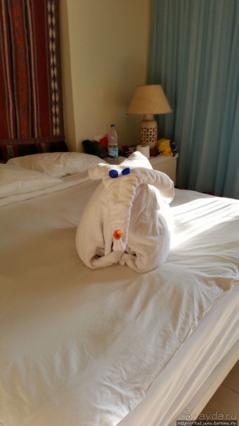 фото Марса Алама