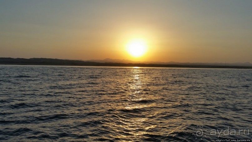 Отель Оазис в центре Порт Галиб