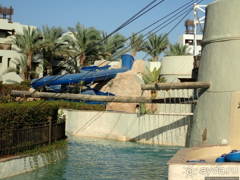 фото Марса Алама