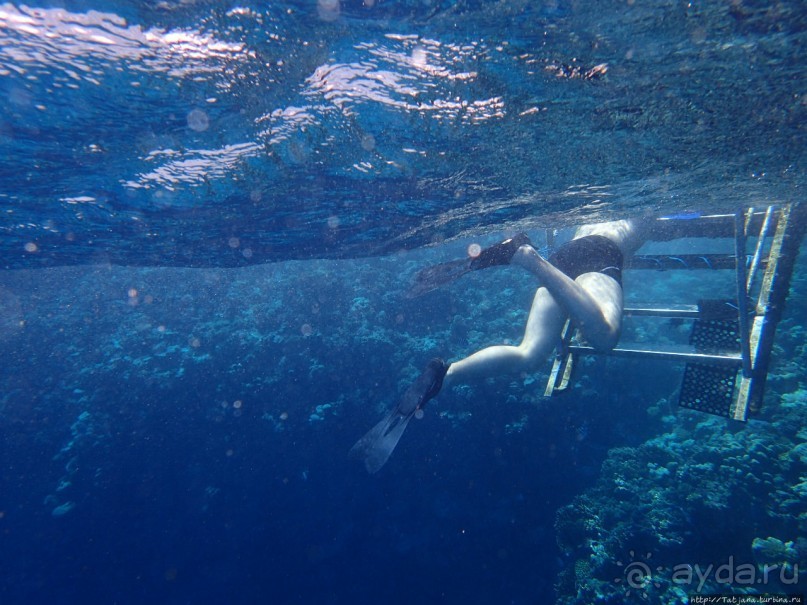 Отель Оазис в центре Порт Галиб