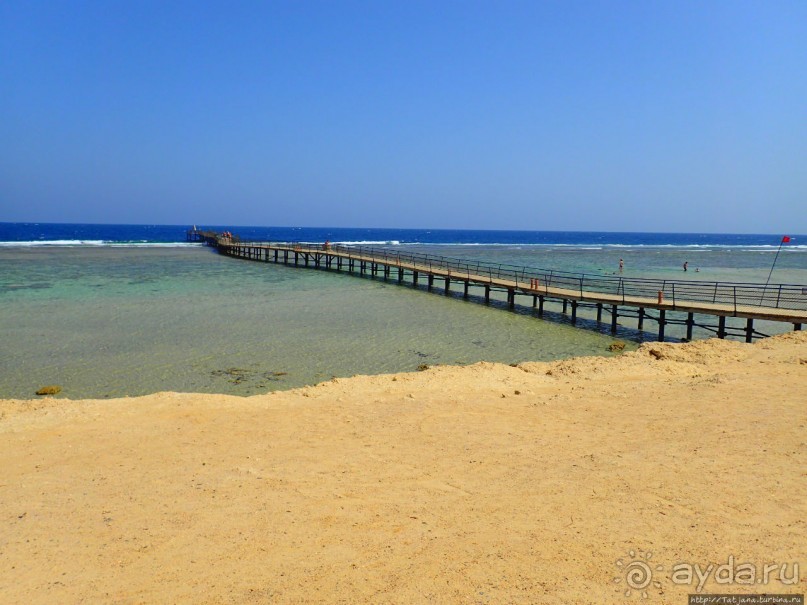 Отель Оазис в центре Порт Галиб