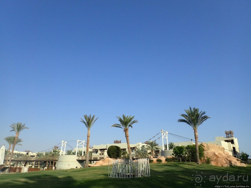 фото Марса Алама