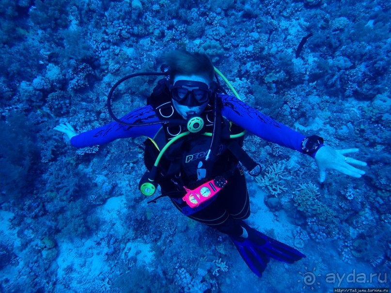 Отель Оазис в центре Порт Галиб