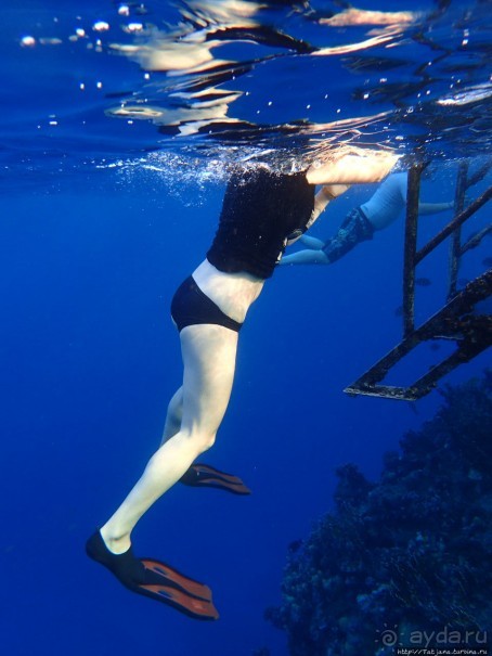 Отель Оазис в центре Порт Галиб