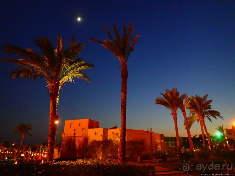 Отель Оазис в центре Порт Галиб