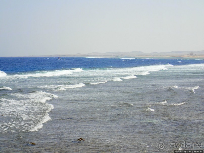 Отель Оазис в центре Порт Галиб