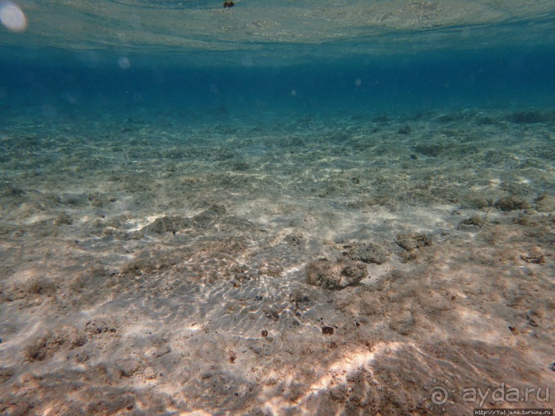 Отель Оазис в центре Порт Галиб