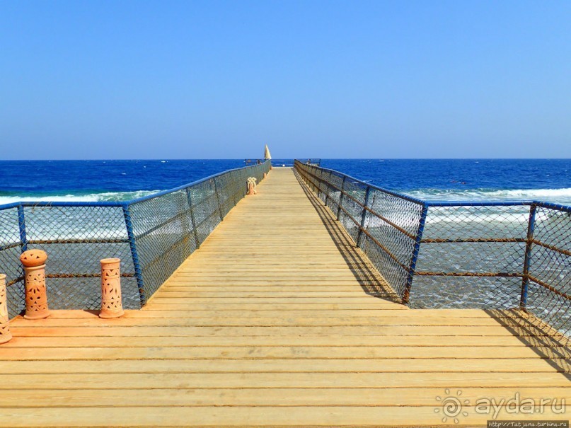 Отель Оазис в центре Порт Галиб