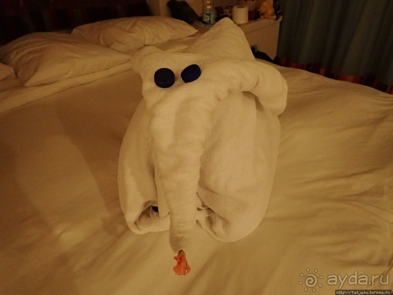 Отель Оазис в центре Порт Галиб