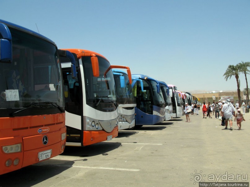 Пустыня ... жара и великолепие Луксора