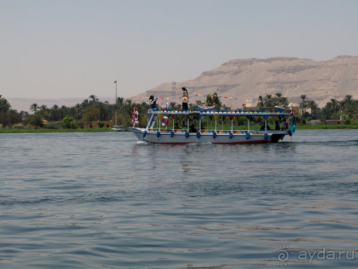 Отдых с детьми в любое время года -hotel "Albatros Resort"