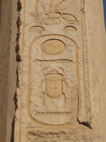 Отдых с детьми в любое время года -hotel "Albatros Resort"