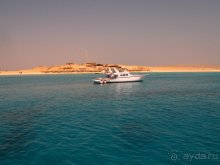 Отдых с детьми в любое время года -hotel "Albatros Resort"