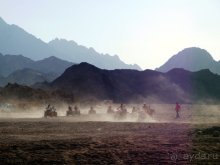 Отдых с детьми в любое время года -hotel "Albatros Resort"